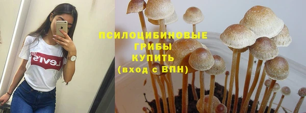 прущие грибы Верхний Тагил
