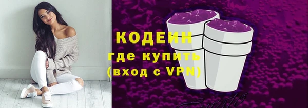 прущие грибы Верхний Тагил