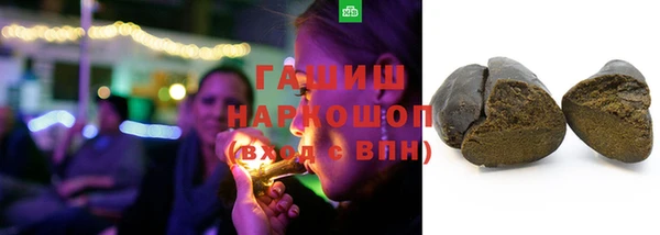 прущие грибы Верхний Тагил