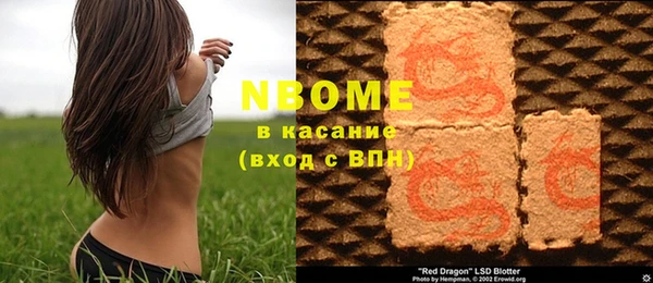 прущие грибы Верхний Тагил
