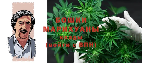 прущие грибы Верхний Тагил